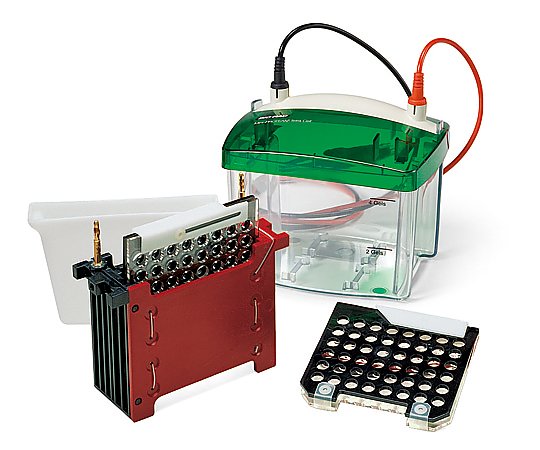 ブロッティング装置 1703930JA