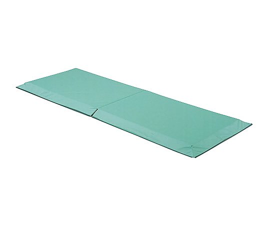 衝撃緩和マットレス（テストール） 650×1800×40mm KE-200Q