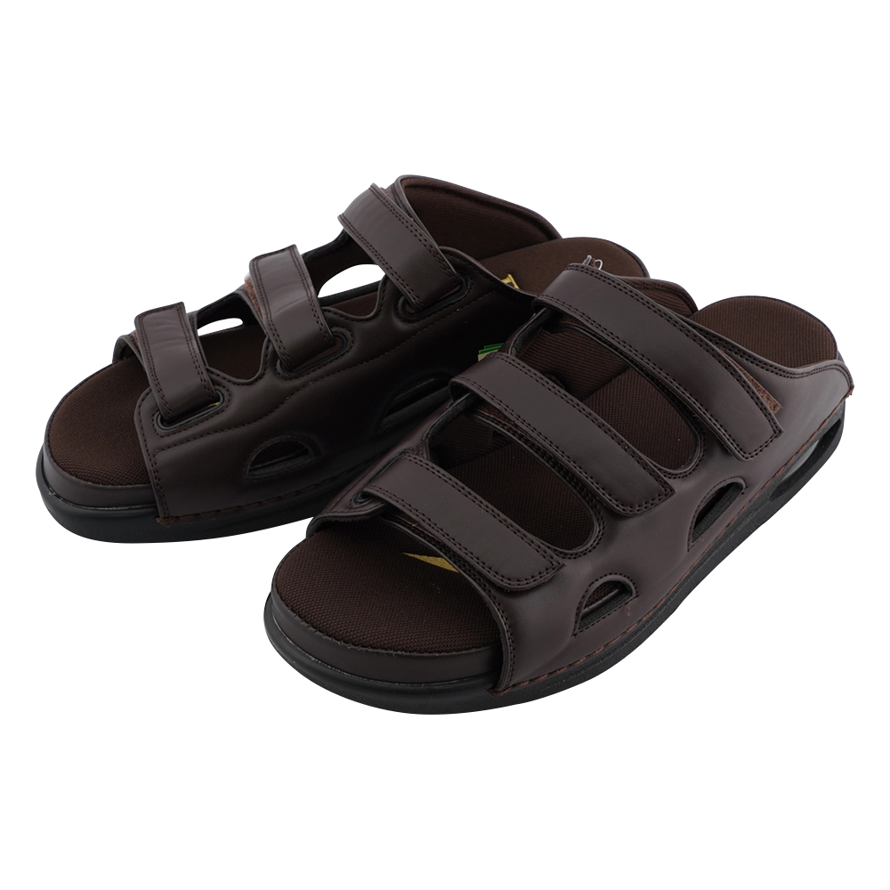 ドクターダリウス（R） ブラウン LL DD00102