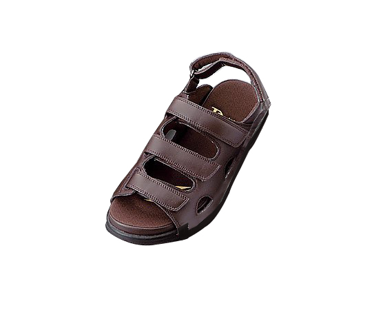 ドクターダリウス（シューズ）ブラウン L DD00202