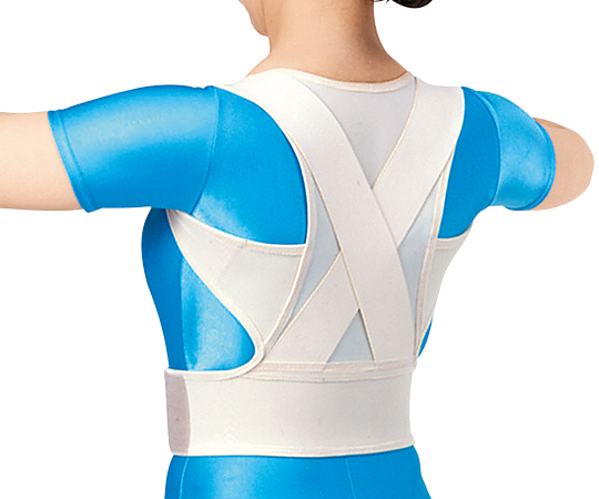 中山式脊椎医学キョウセイベルトメッシュ L