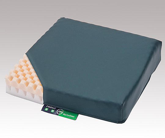 マイクッション CK398