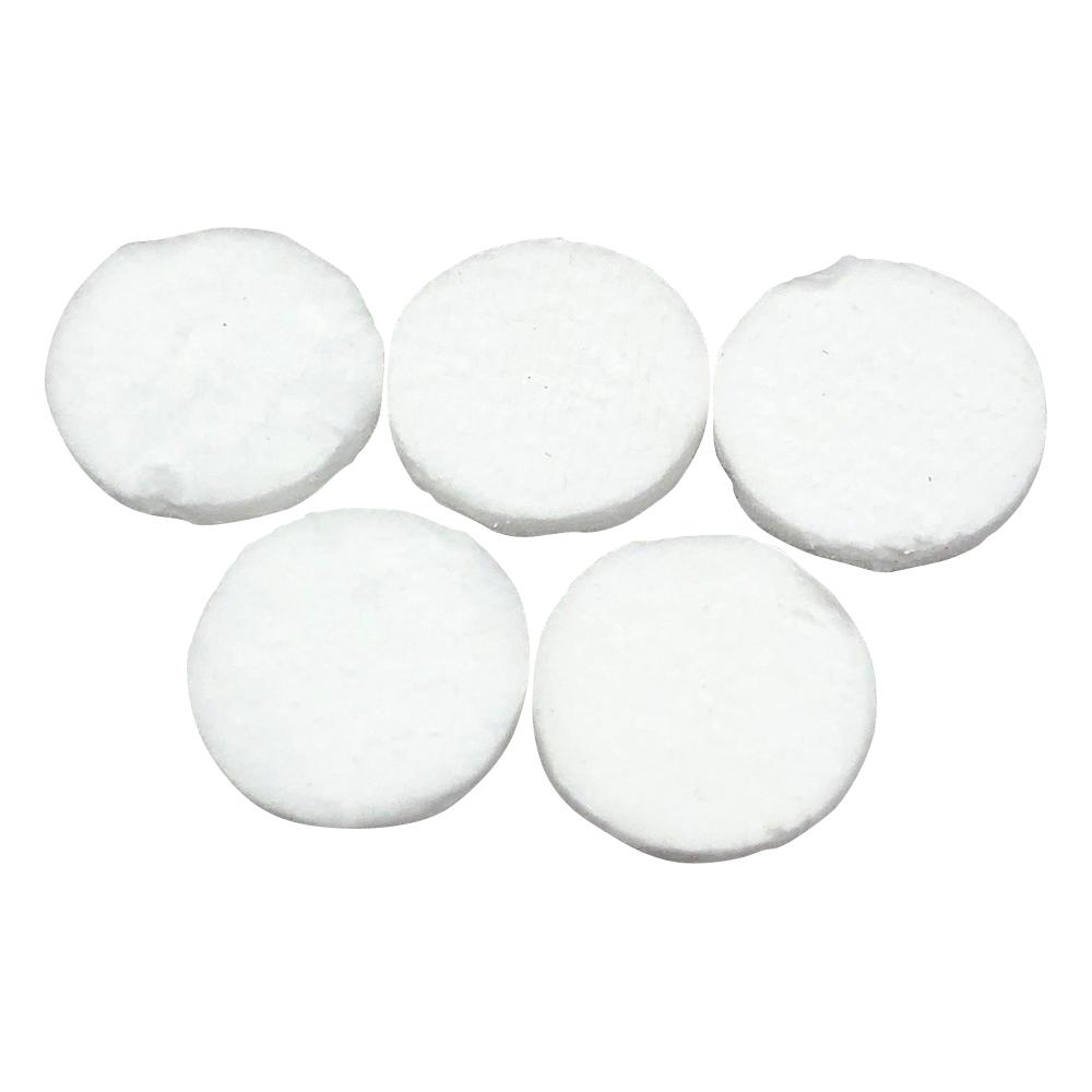 桐山ロート用濾紙 φ8mm 10枚入 GFP