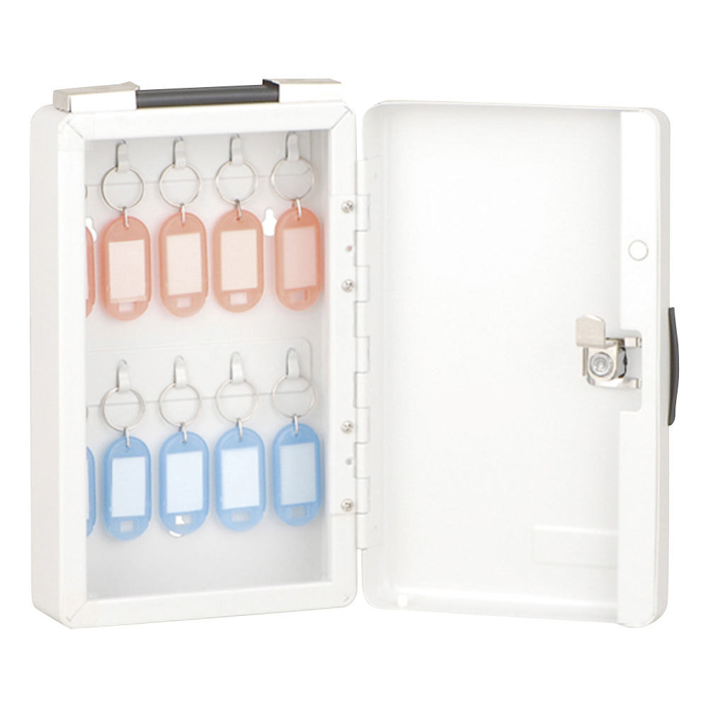 キーボックス 10個 138×65×227mm NKB-E01