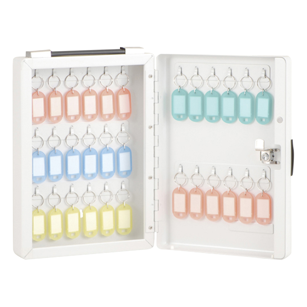 キーボックス 30個 200×65×284mm NKB-E03