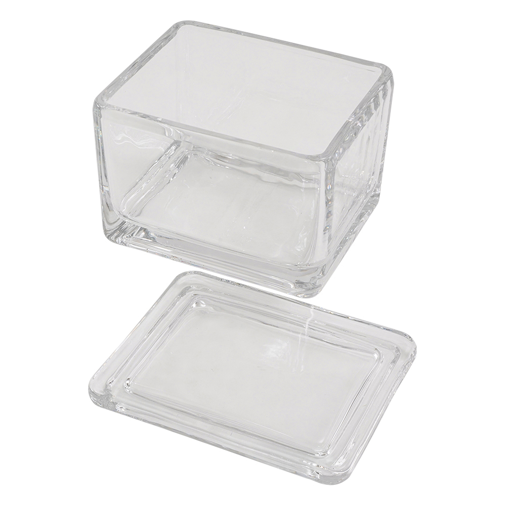 染色バット（ガラス） 20枚用 10130520