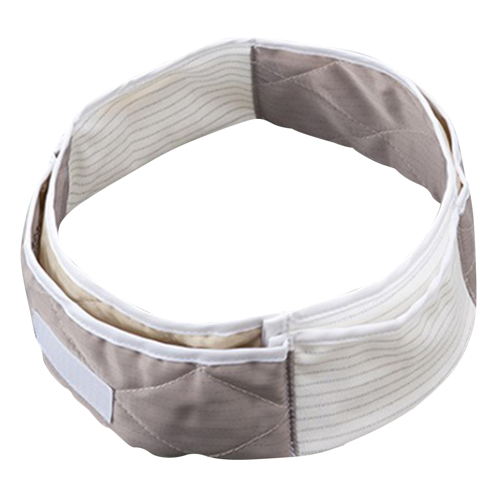 ヘルメット 423用バンド FD423C