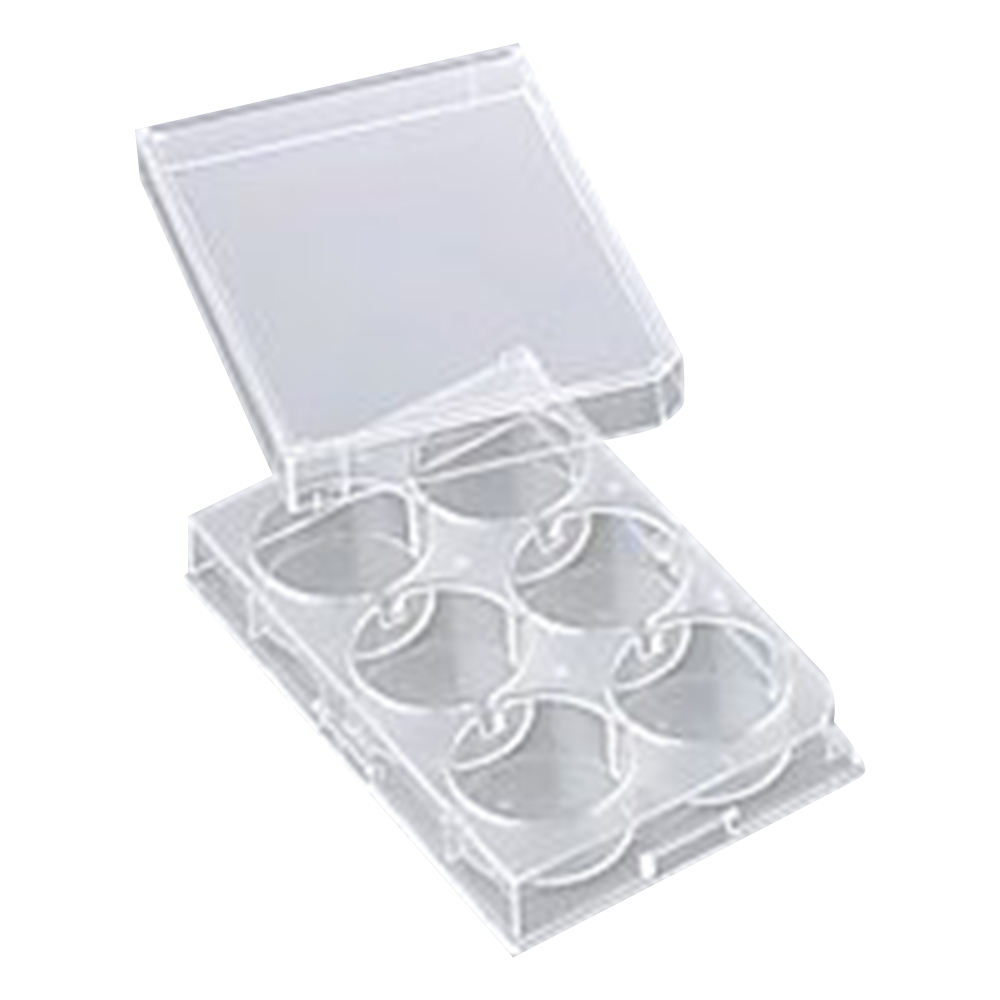 6穴プレート 平底 カバー付 滅菌済 60枚入 P06F01S