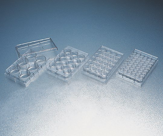 セルカルチャープレート マルチウェルプレート・フタ付き 12ウェル 個包装 1箱（1枚×50袋入） 353043