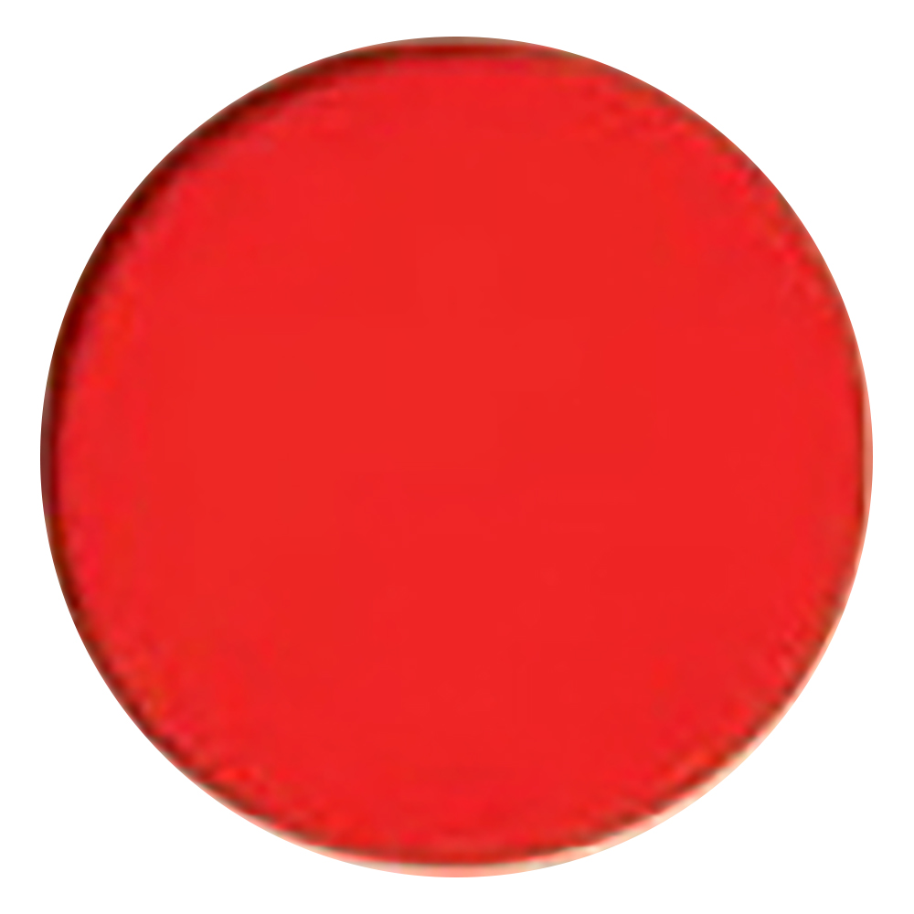 ファイバーオプティックライトソースKL2500用 インサートフィルター レッド 258303