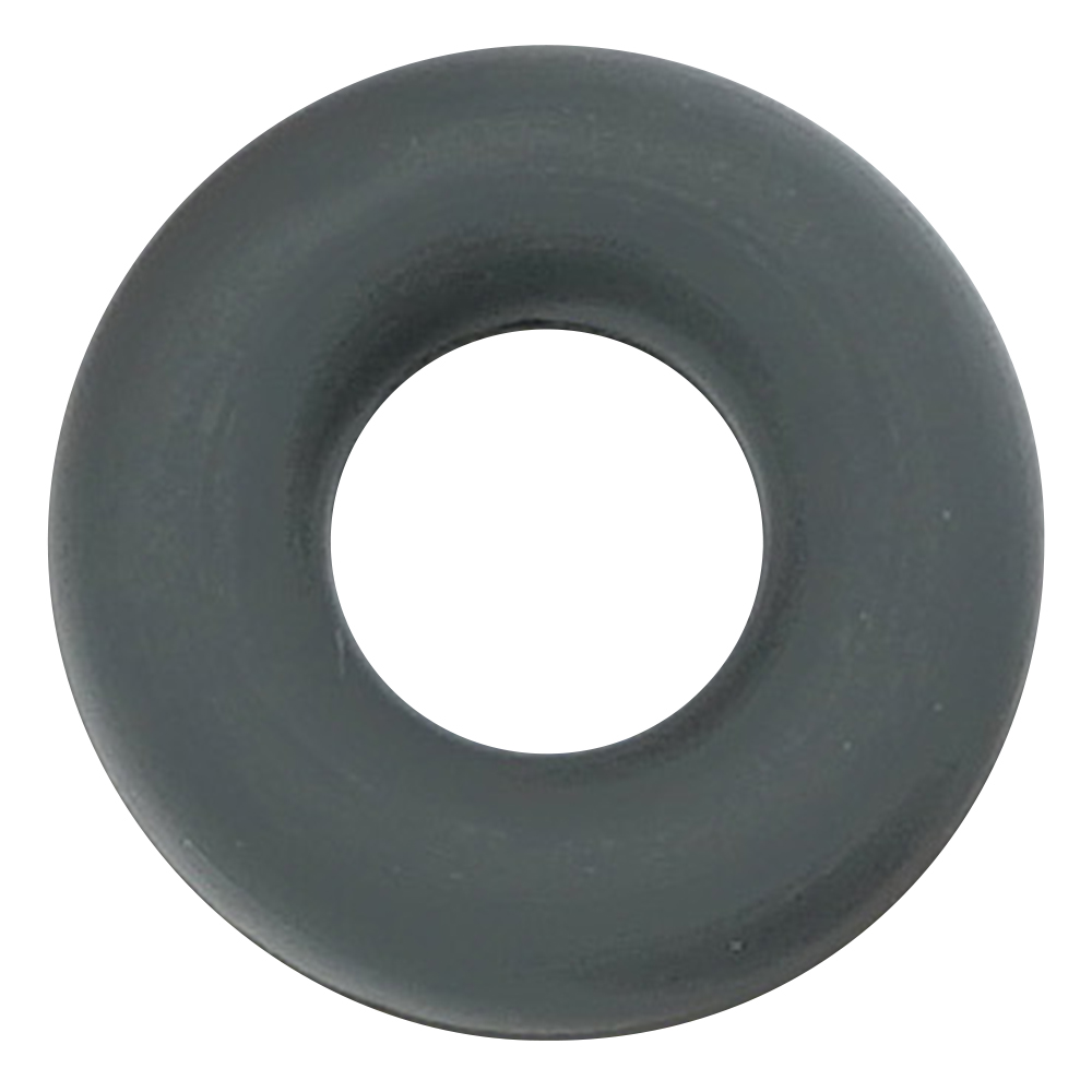 フッ素ゴムOリング（フロロプラス（TM）） P-3