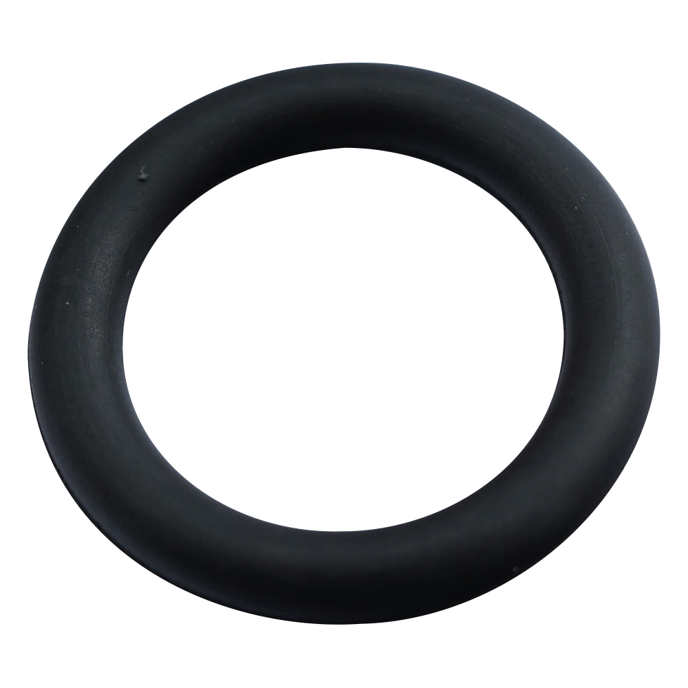 フッ素ゴムOリング（フロロプラス（TM）） P-9