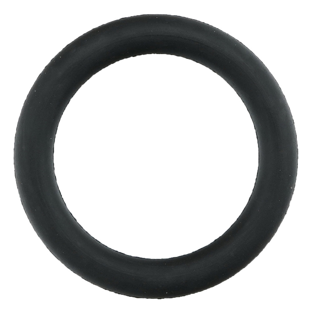 フッ素ゴムOリング（フロロプラス（TM）） P-10