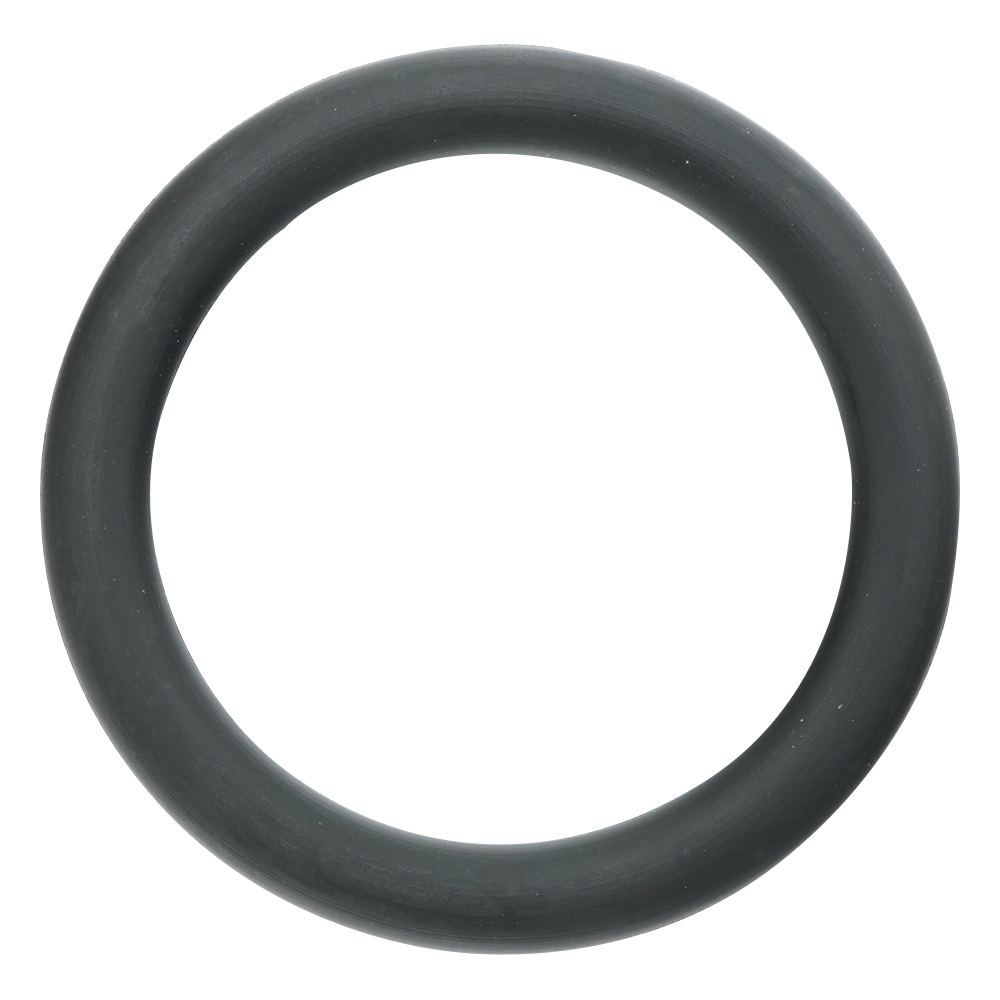 フッ素ゴムOリング（フロロプラス（TM）） P-15