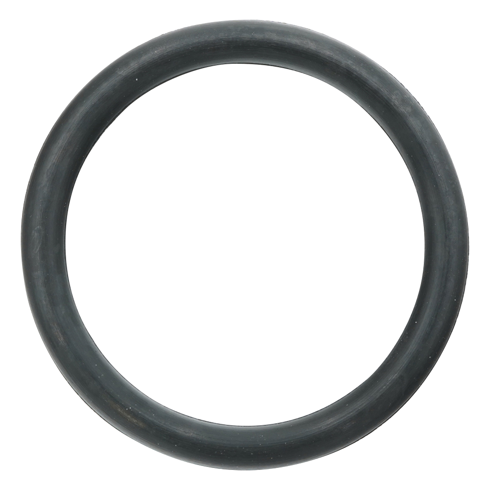 フッ素ゴムOリング（フロロプラス（TM）） P-20