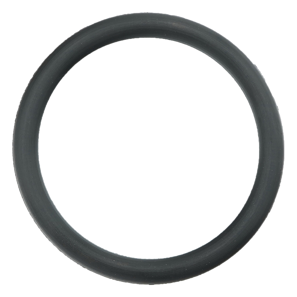 フッ素ゴムOリング（フロロプラス（TM）） P-21