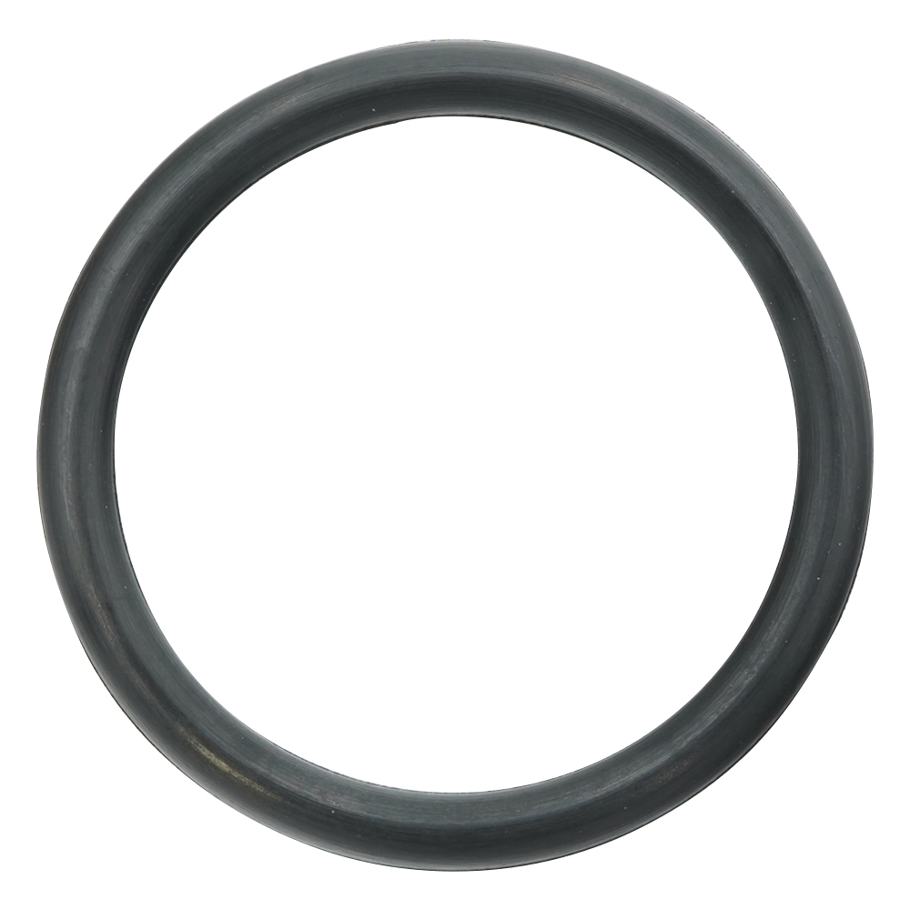 フッ素ゴムOリング（フロロプラス（TM）） P-22