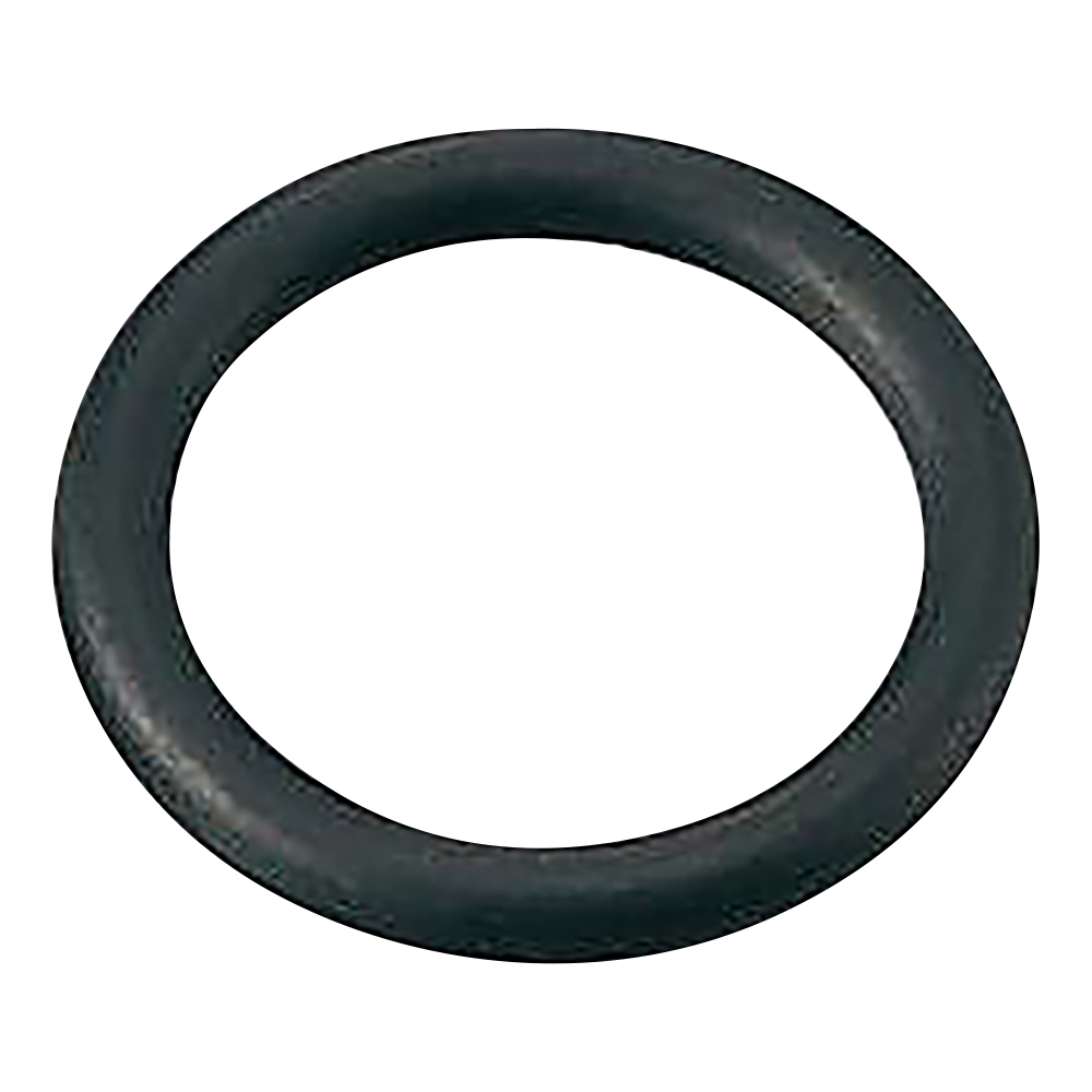 カルレッツ（R）Oリング P-10