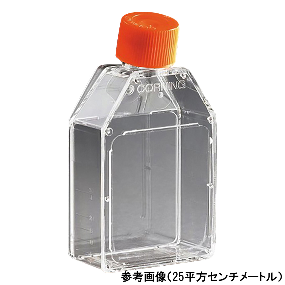 細胞培養用フラスコ（プラグシールキャップ／カントネック）75cm2 1ケース（5個×20包入） 430720