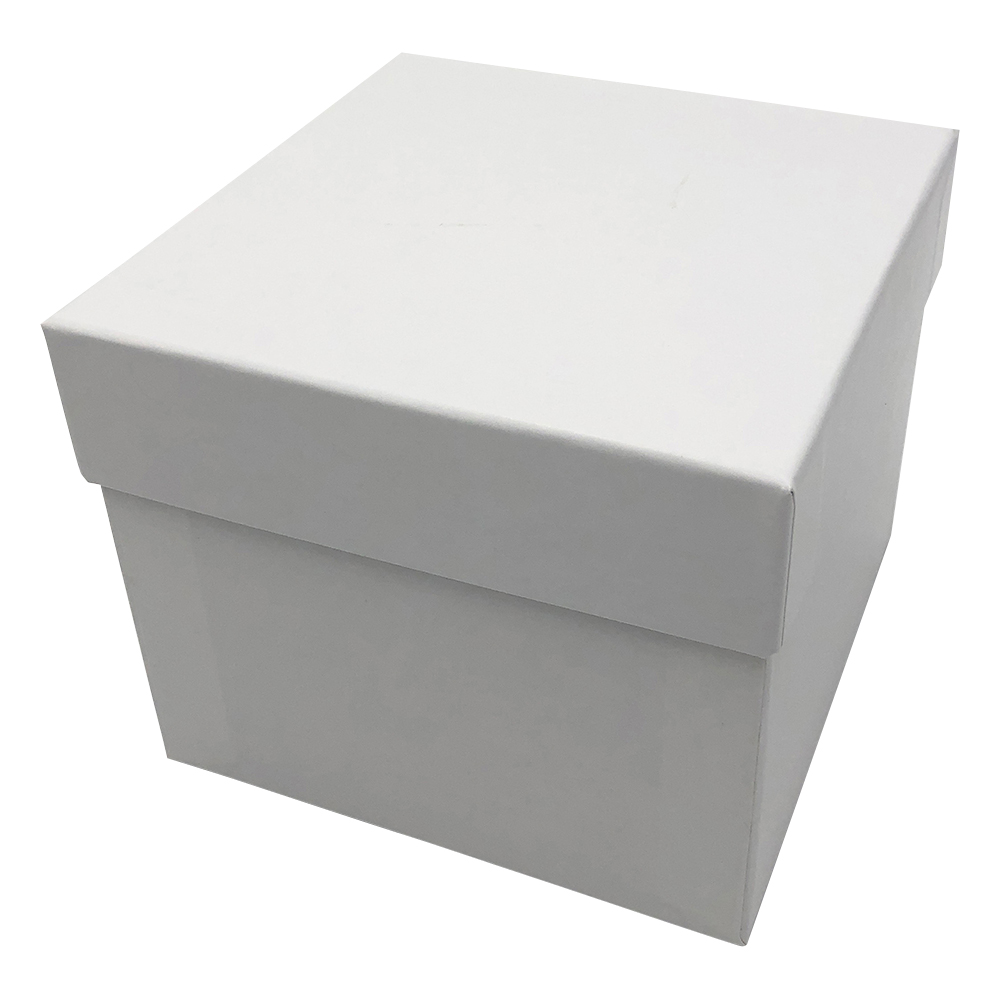 遠沈管用フリーズボックス 本体・フタ 1箱（10組入） HS2860M