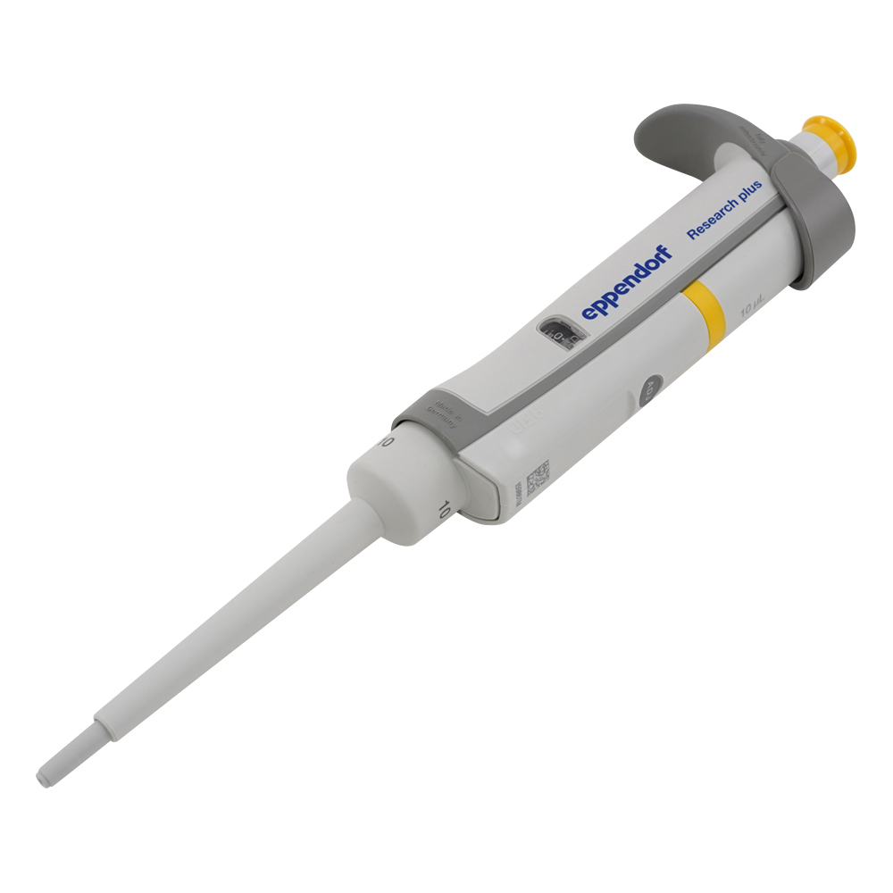 リサーチプラスＦ ３１２４００００２４