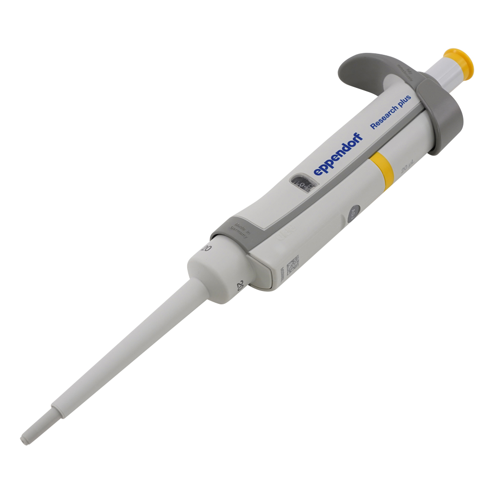 リサーチプラスＦ　３１２４００００４０