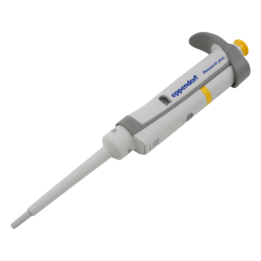 リサーチプラスＦ　３１２４００００５９