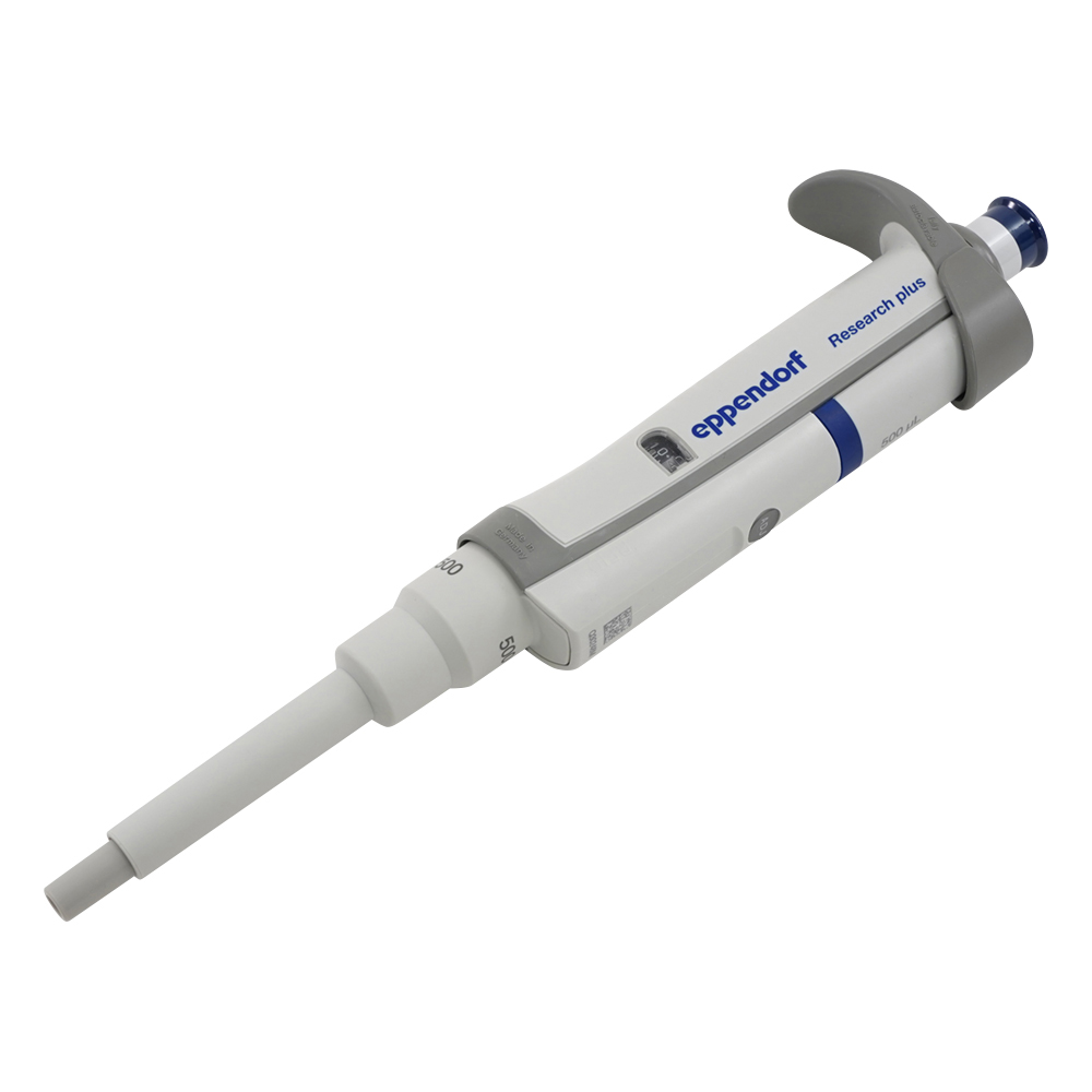 リサーチプラスＦ ３１２４０００１１３