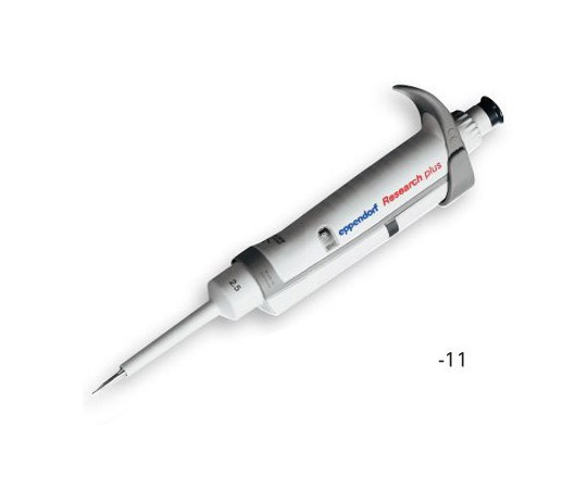 リサーチプラスＶ　３１２３００００１２