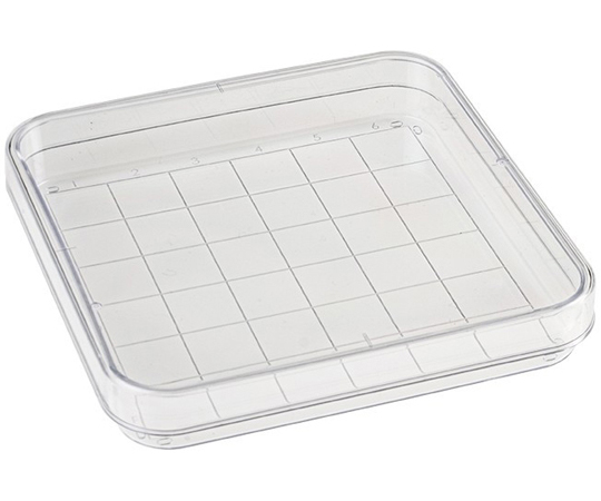 プロビオペトリディッシュ 96角 13mmグリッド入 10枚×50袋入 D210-16