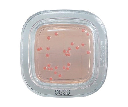 ぺたんチェックDD デオキシコレート寒天培地 1箱（100枚入） PD0004