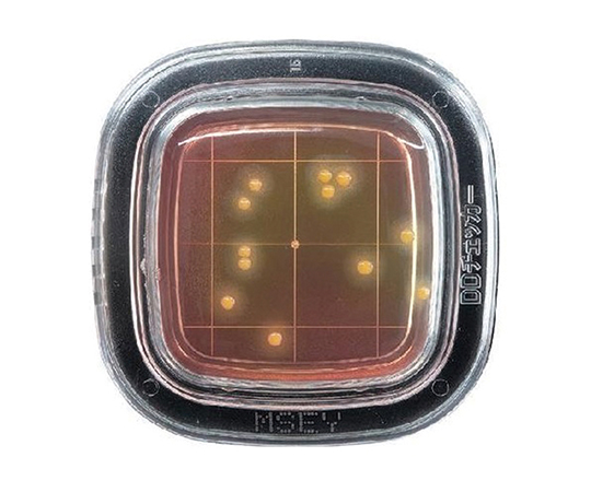 ぺたんチェックDD MSEY寒天培地 1箱（100枚入） PD0010