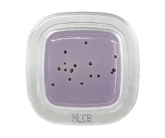 ぺたんチェックDD MLCB寒天培地 1箱（100枚入） PD0016