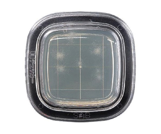 ぺたんチェックDD サブロー寒天培地 1箱（20枚入） PD0020