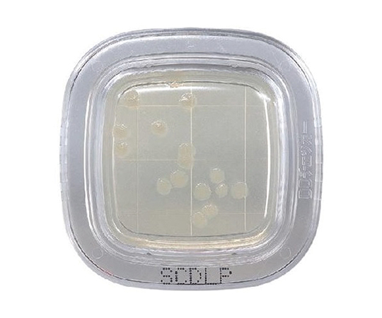 ぺたんチェックDD SCDLP寒天培地 1箱（20枚入） PD0024