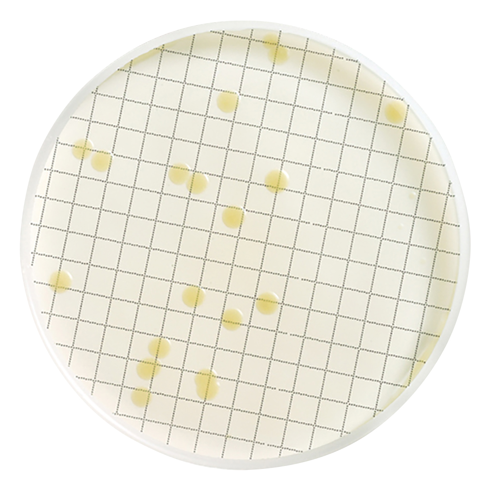 アンプル培地 （一般生菌用）1箱（50枚入） MHA000P2T