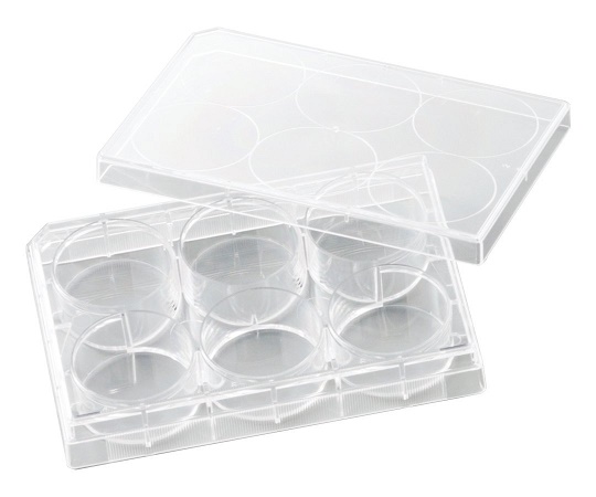 ビオラモ 細胞培養プレート 1箱（50個入） VTC-P6