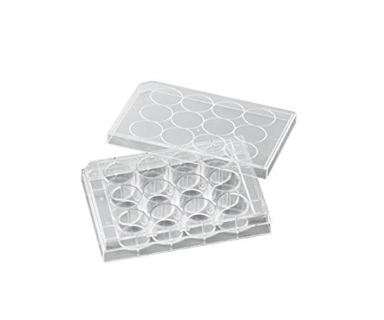 ビオラモ 細胞培養プレート 1箱（50個入） VTC-P12