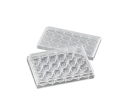 ビオラモ 細胞培養プレート 1箱（50個入） VTC-P24