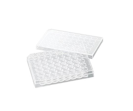 ビオラモ 細胞培養プレート 1箱（50個入） VTC-P48