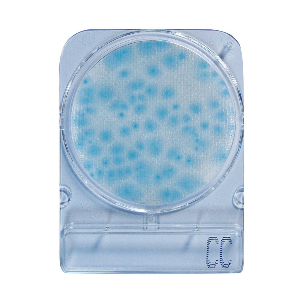 コンパクトドライ(TM)　04299　カテキン中和剤入り一般生菌数測定用　4枚/袋ｘ60袋入