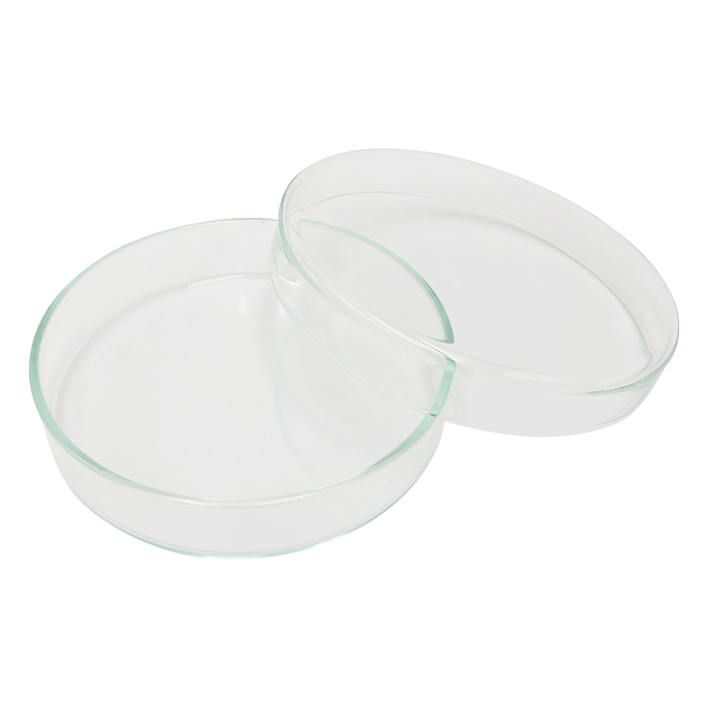 スタンダードシャーレ φ100×20mm 100/20