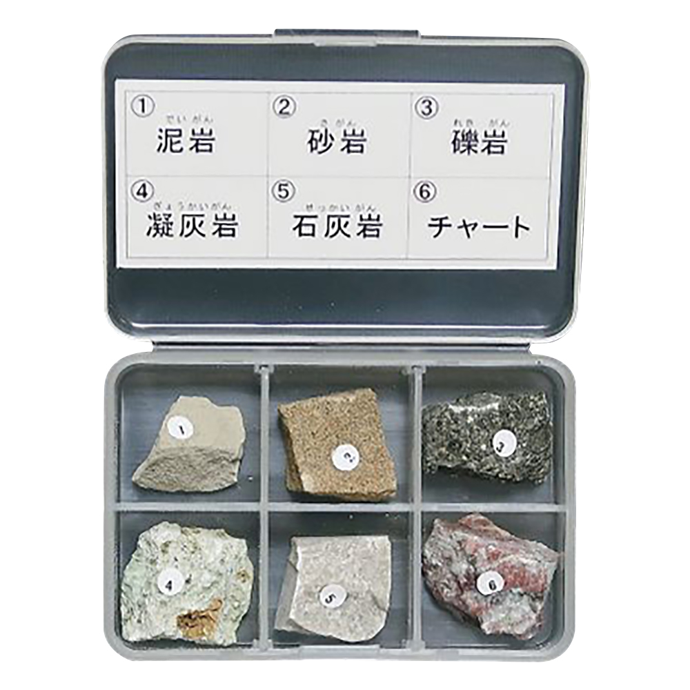 岩石標本（岩石標本堆積岩6種）