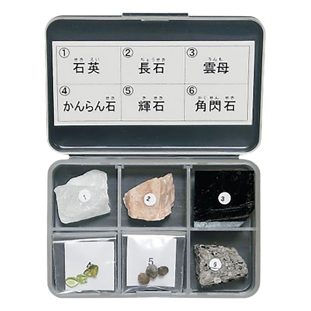 岩石標本（岩石標本造岩鉱物6種）
