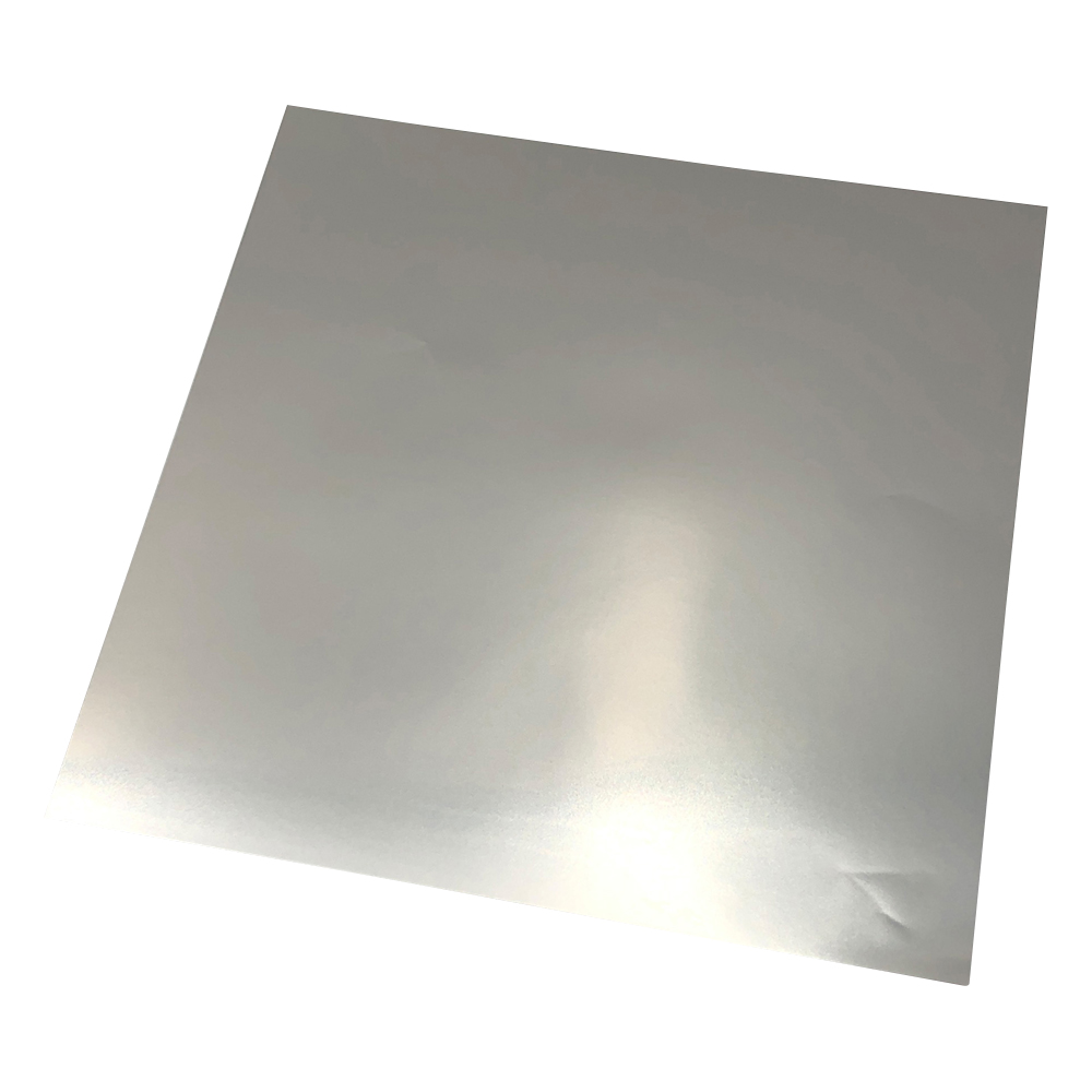ステンレス箔 SUS304 100×100×0.01 SUS-□100×0.01