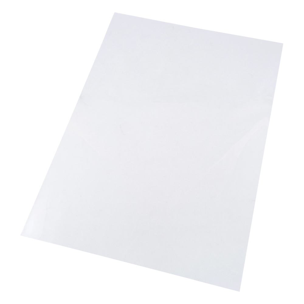 ポリエチレンナフタレートフィルム (テオネックス(R)) 210mm×297mm×75μm 1袋(10枚入) Q51-A4-75μm