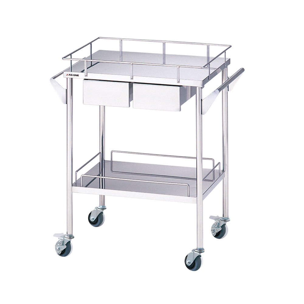 ステンレスグリーンカート SS-2HS（静音タイプ） 2段 引出付（2個） 720×450×835mm