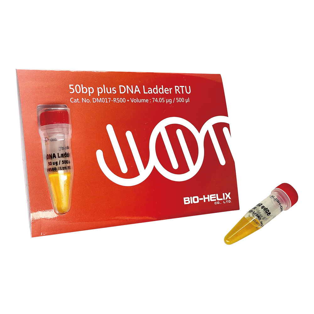 DNA電気泳動マーカー 50bp DM017-R500