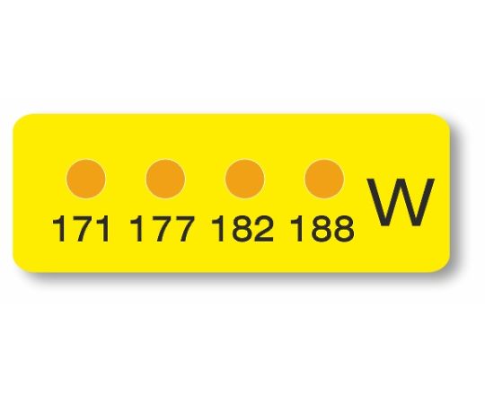 ヒートラベル（不可逆性）4点表示ミニ 1箱（10枚入） MN-W