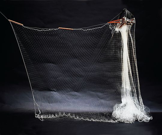 巻網（刺網） 一目18mm 長さ18m